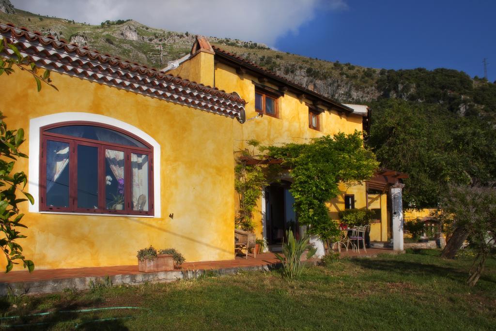 B&B Calandrella Maratea Zimmer foto