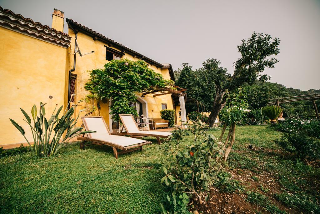 B&B Calandrella Maratea Exterior foto